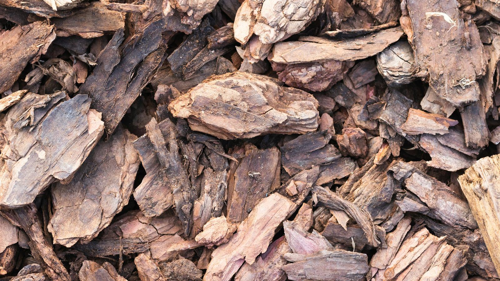 Morceaux d'écorce brune de bois bandé sur une table en bois, à côté d'une coupelle de poudre