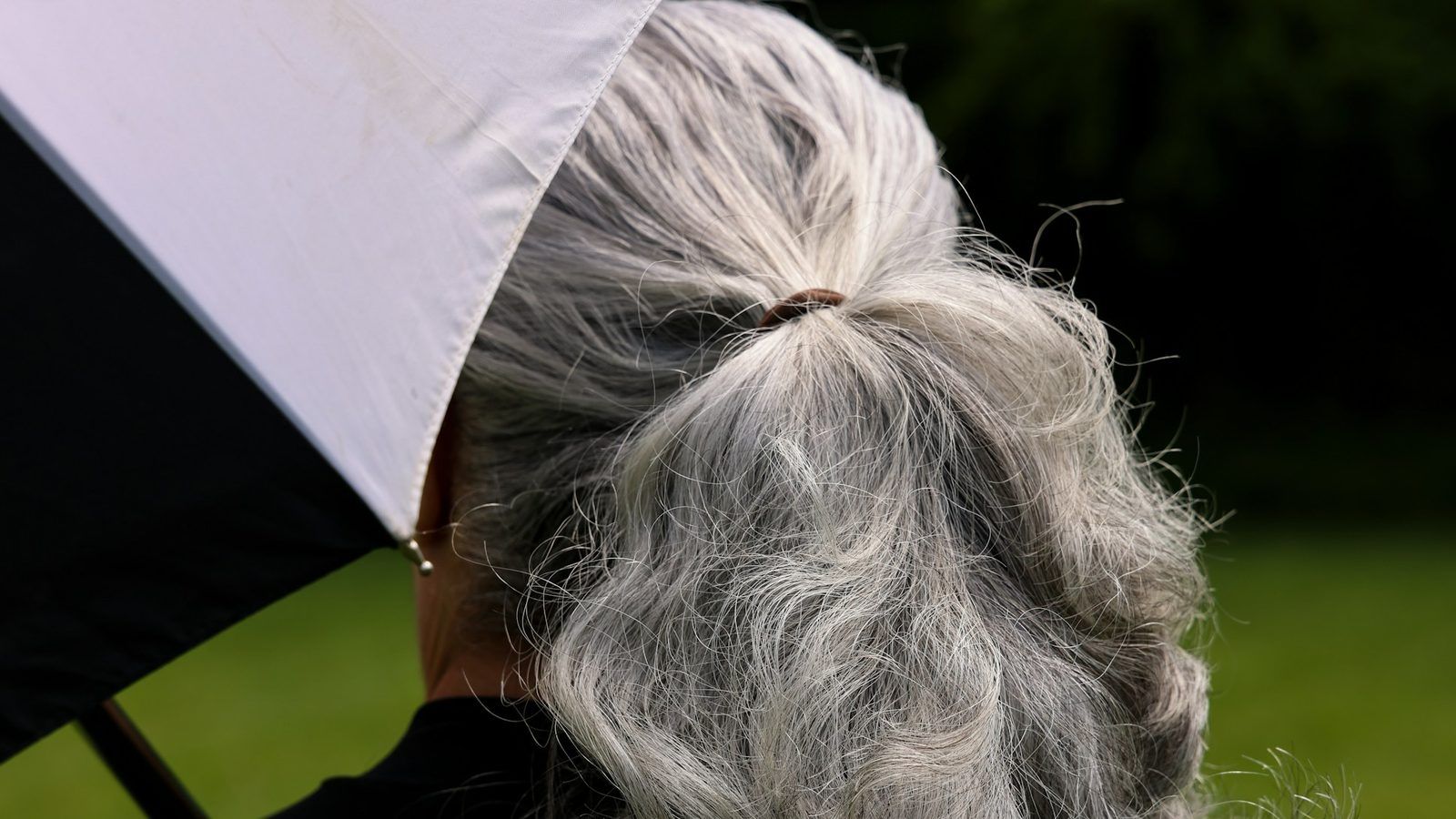 Gros plan sur une chevelure châtain parsemée de cheveux blancs, en lumière naturelle