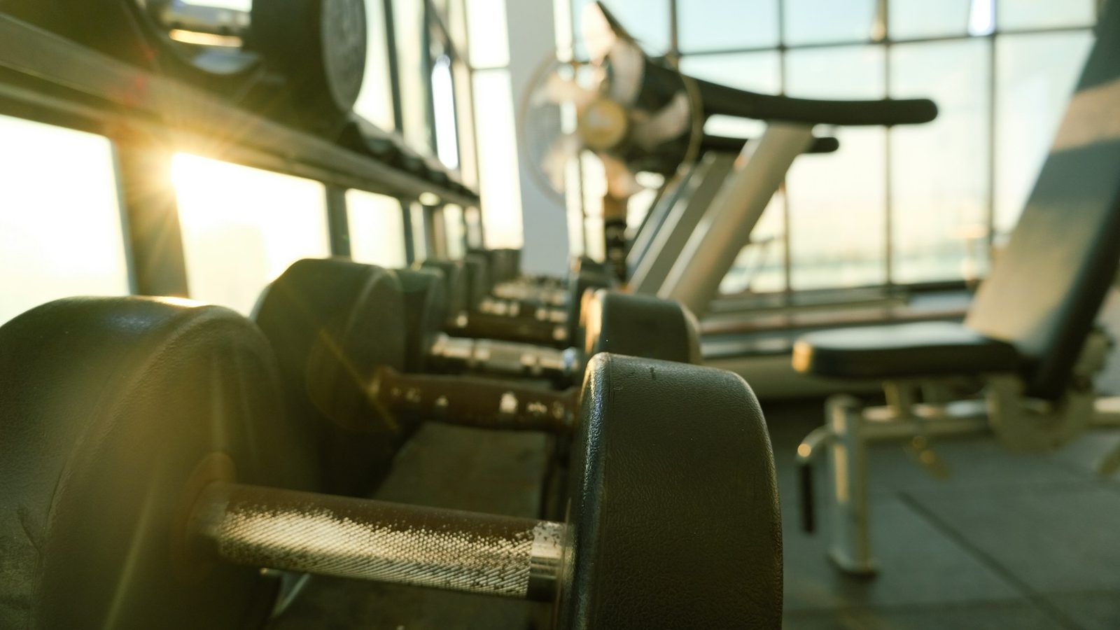 Pot de protéine en poudre, cuillère doseuse de créatine et shaker posés sur un banc de salle de musculation
