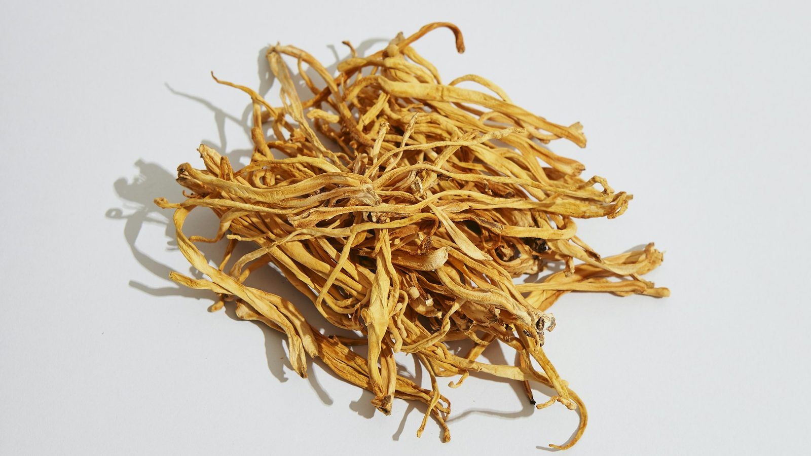 Fructifications orange de Cordyceps militaris séchées, posées dans une coupelle en bois