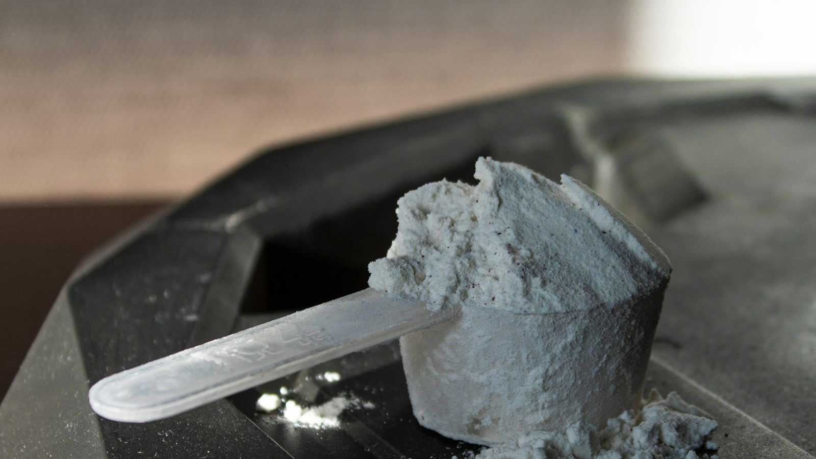 Poudre blanche de créatine monohydrate dans une cuillère doseuse posée à côté d'un shaker