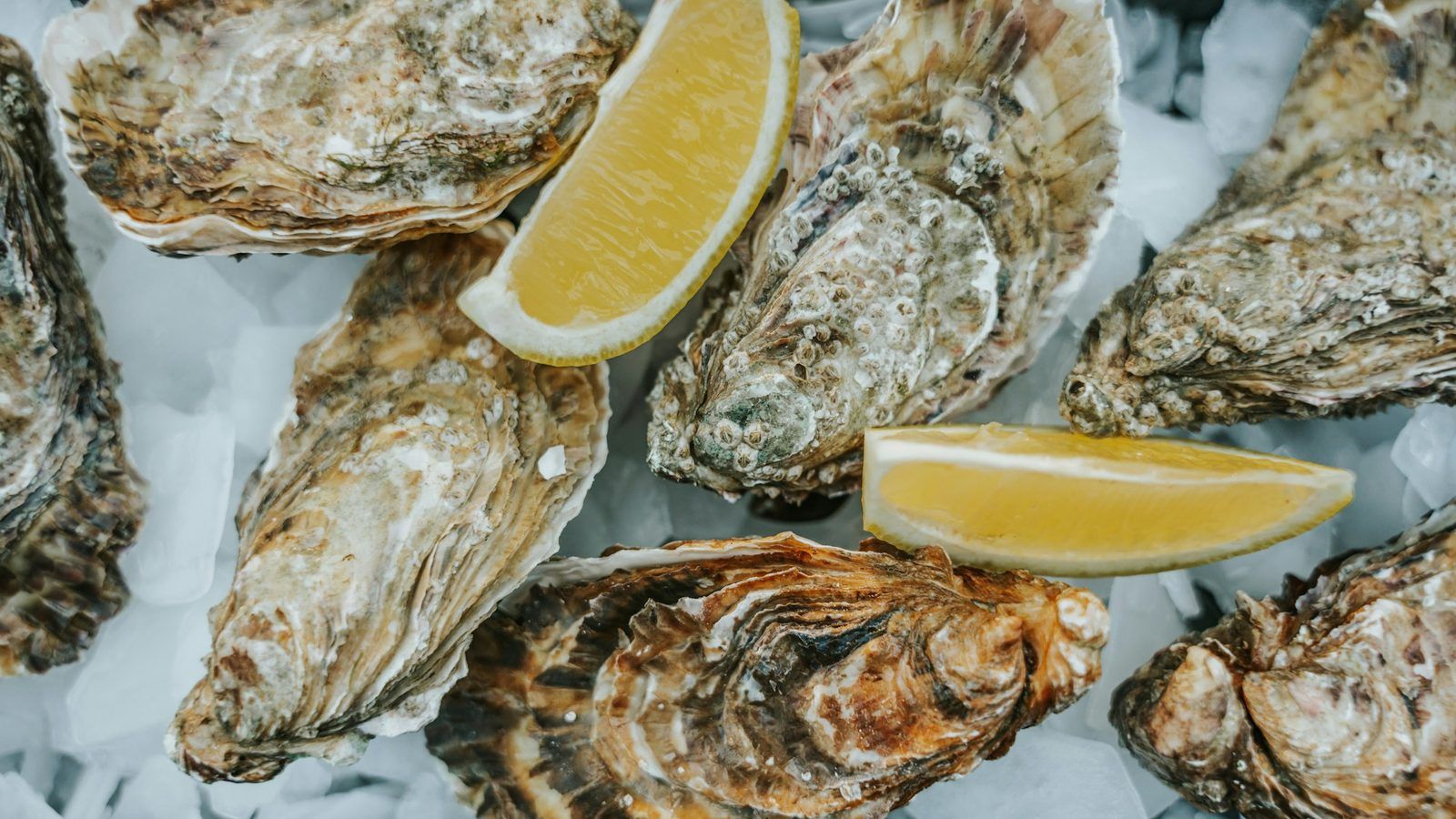 Gélules blanches de zinc dans une coupelle en céramique, à côté de graines de courge et de pois chiches